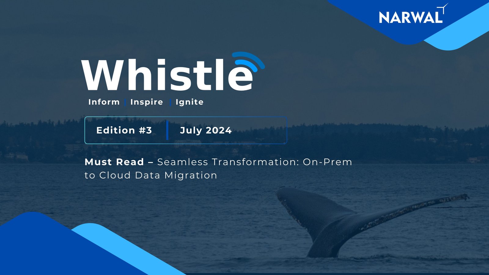 Whistle Edition #3 – Narwal Monthly Newsletter